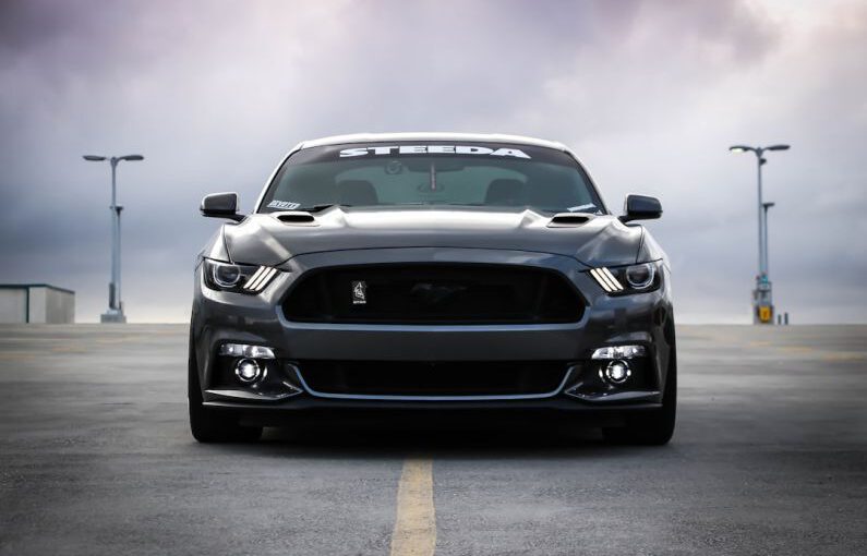 Mustang Auto - black Shelby car on road