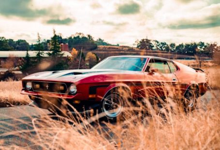 Mustang Auto - red and black muscle car on brown field during daytime