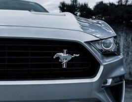 How Has the Mustang Been Portrayed in Popular Media?