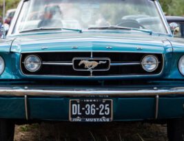 Mustang Special Editions: What Sets Them Apart?