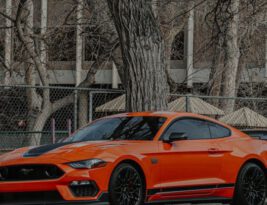 What Are the Long-term Storage Tips for Mustangs?
